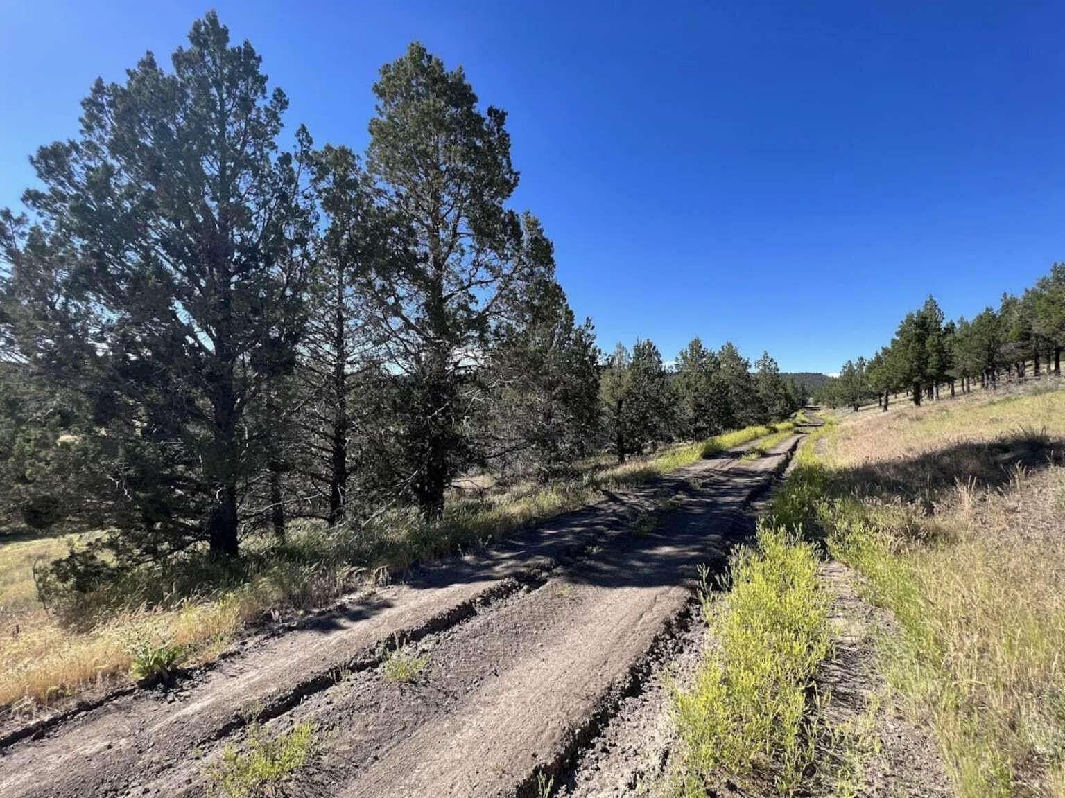 1.16 Acres of Land for Sale in Alturas, California
