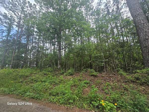 4 Acres of Land for Sale in Newton, Texas