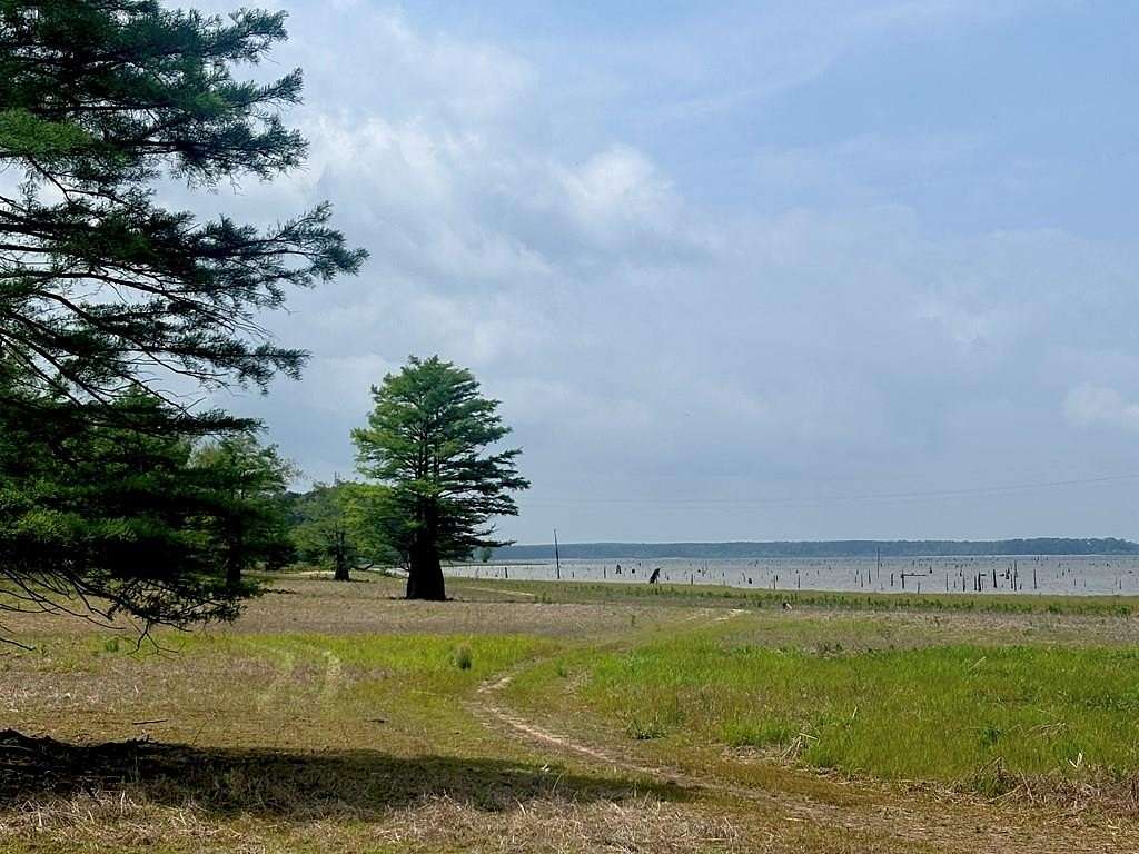 3 Acres of Residential Land for Sale in Etoile, Texas