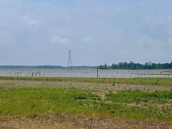 3 Acres of Residential Land for Sale in Etoile, Texas