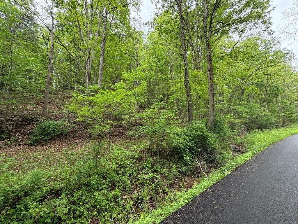 33.8 Acres of Recreational Land for Sale in West Portsmouth, Ohio