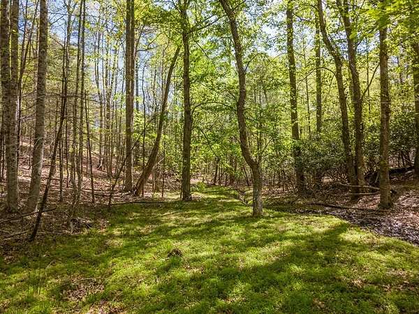 5 Acres of Residential Land for Sale in Independence, Virginia