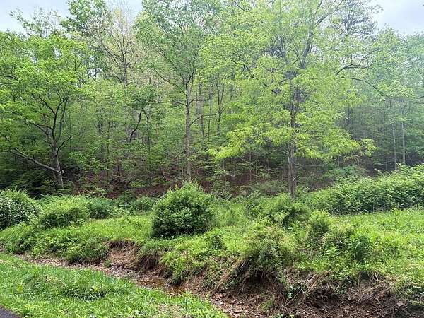 25.2 Acres of Recreational Land for Sale in West Portsmouth, Ohio