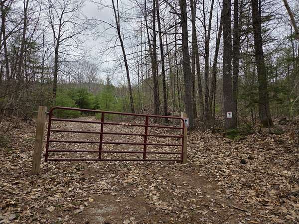 115 Acres of Recreational Land for Sale in Newfield, Maine