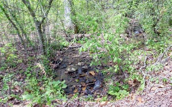 1 Acre of Residential Land for Sale in Dahlonega, Georgia