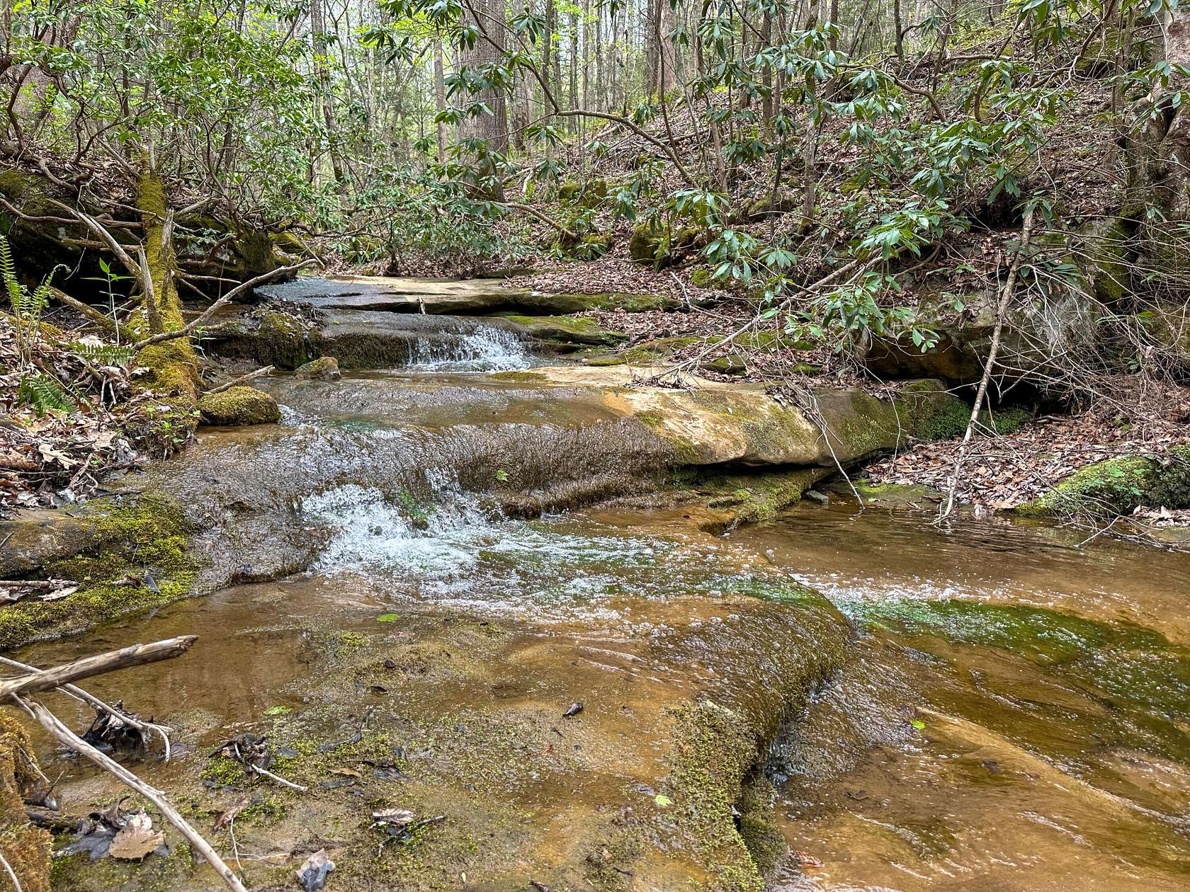 288 Acres of Recreational Land for Sale in Helton, Kentucky