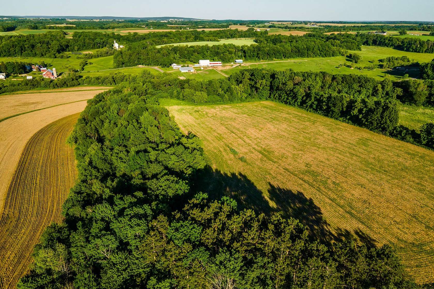 17 Acres of Land for Sale in Loganville, Wisconsin