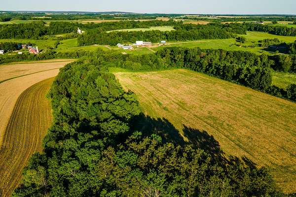 17 Acres of Land for Sale in Loganville, Wisconsin