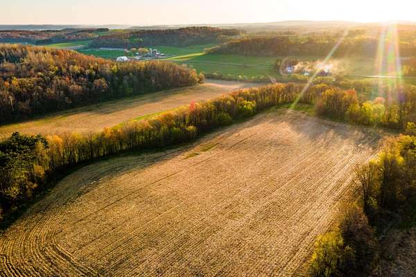 17 Acres of Land for Sale in Loganville, Wisconsin