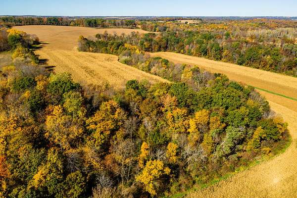 17 Acres of Land for Sale in Loganville, Wisconsin