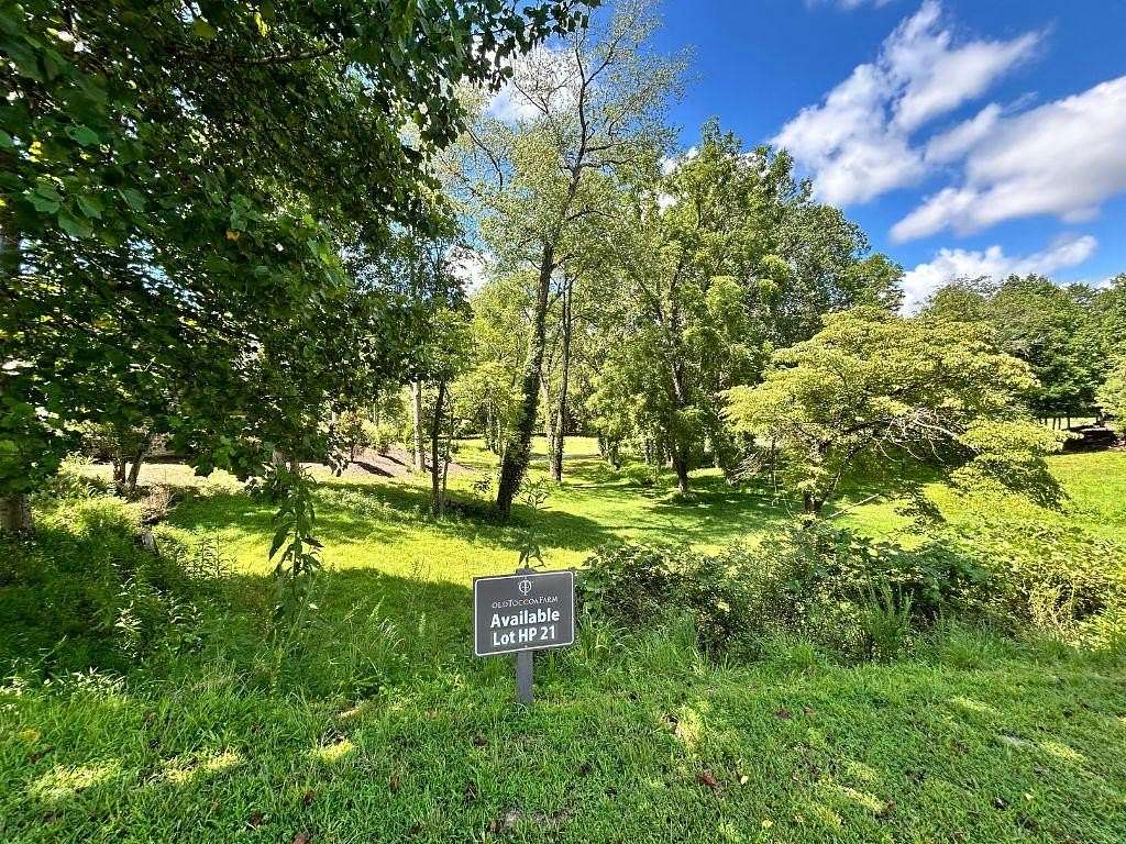 0.23 Acres of Residential Land for Sale in Mineral Bluff, Georgia