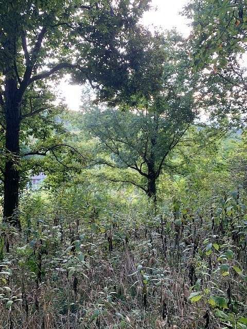 6 Acres of Land for Sale in Shelbyville, Tennessee