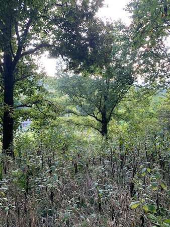 6 Acres of Land for Sale in Shelbyville, Tennessee