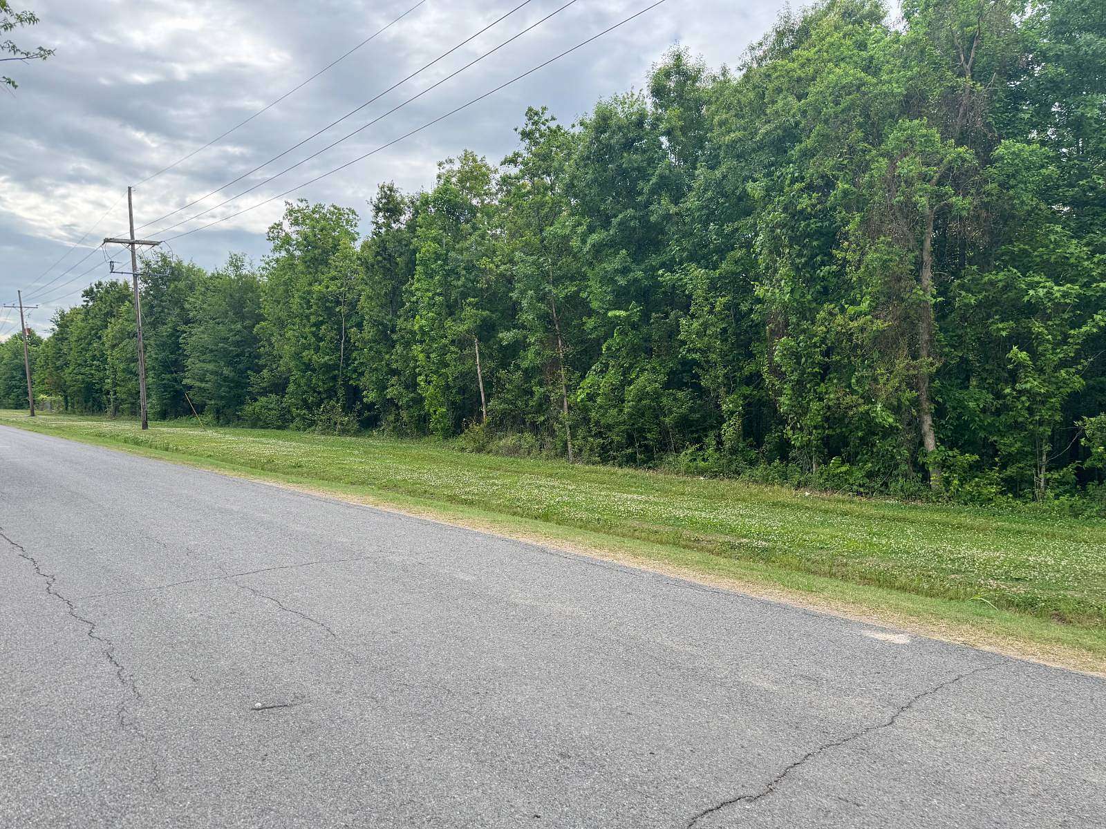 50 Acres of Mixed-Use Land for Sale in Waterproof, Louisiana