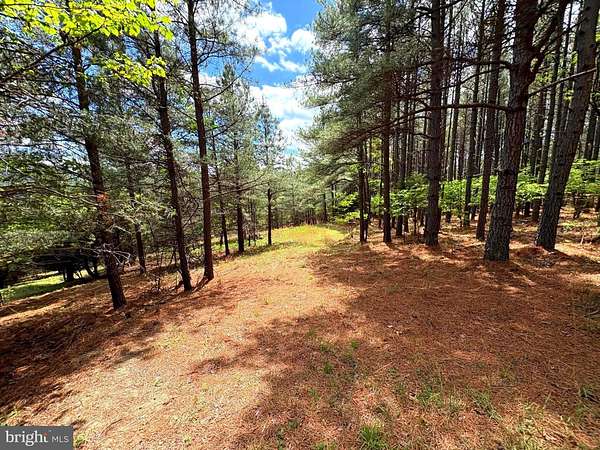 20.7 Acres of Recreational & Residential Land for Sale in Moorefield, West Virginia