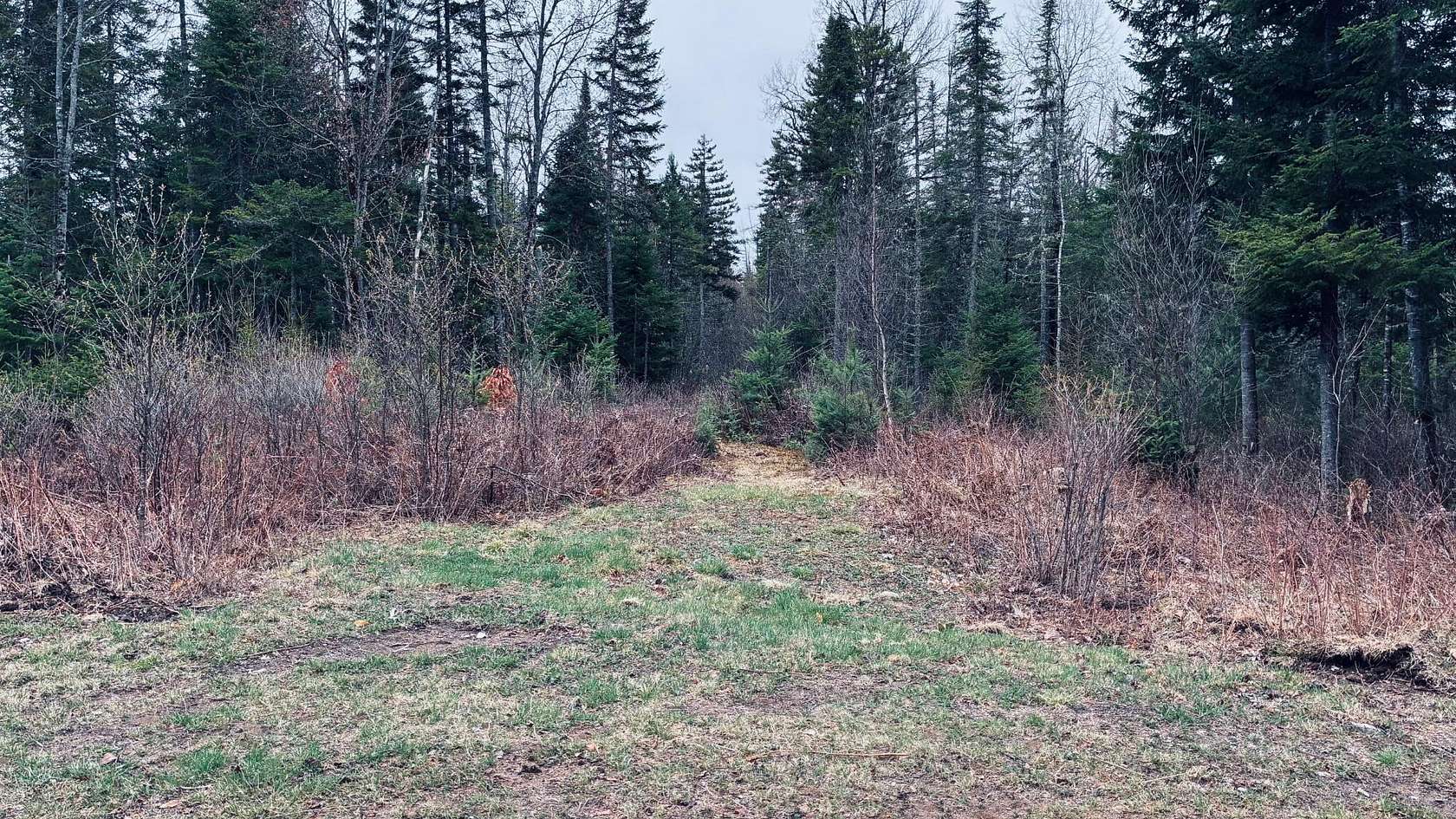 86 Acres of Recreational & Residential Land for Sale in Saranac, New York