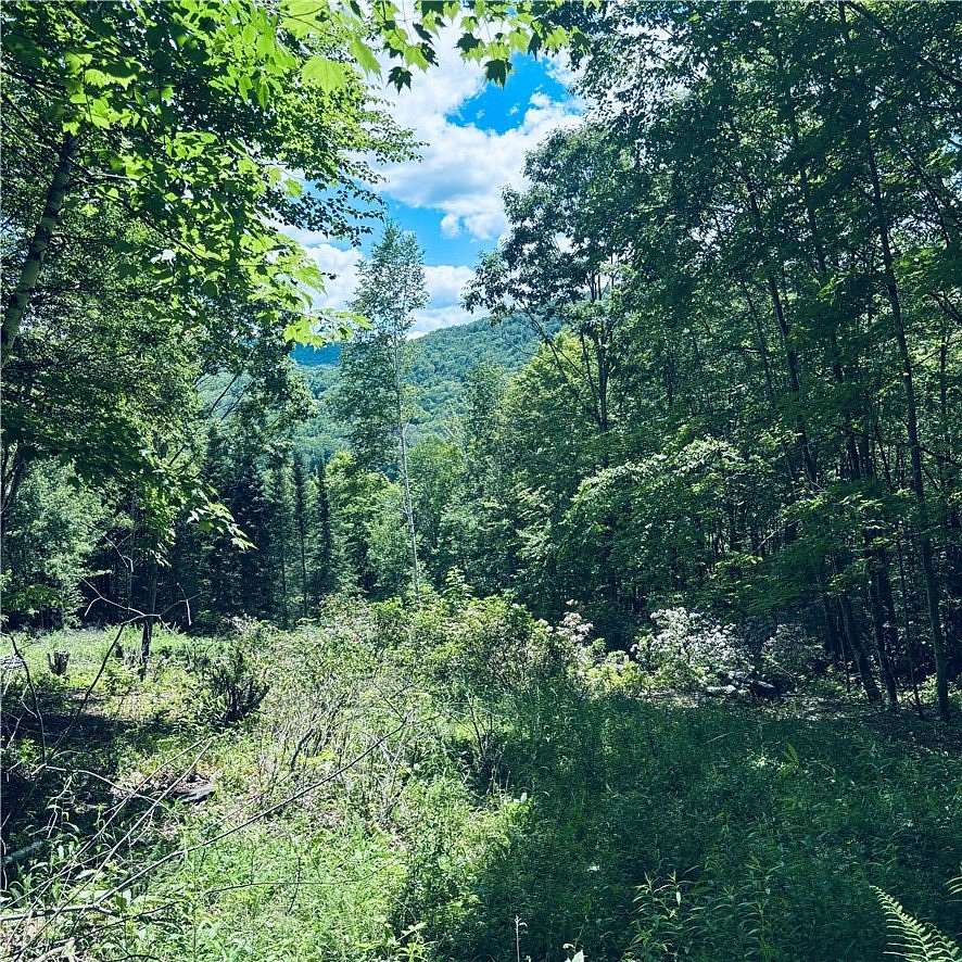 6 Acres of Land for Sale in Andes, New York
