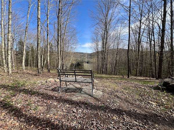 6 Acres of Land for Sale in Andes, New York
