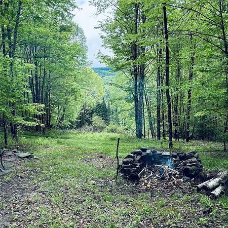 6 Acres of Land for Sale in Andes, New York