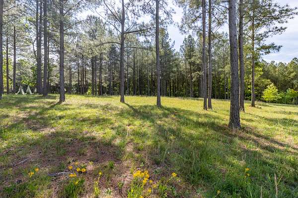 0.74 Acres of Residential Land for Sale in Jasper, Tennessee