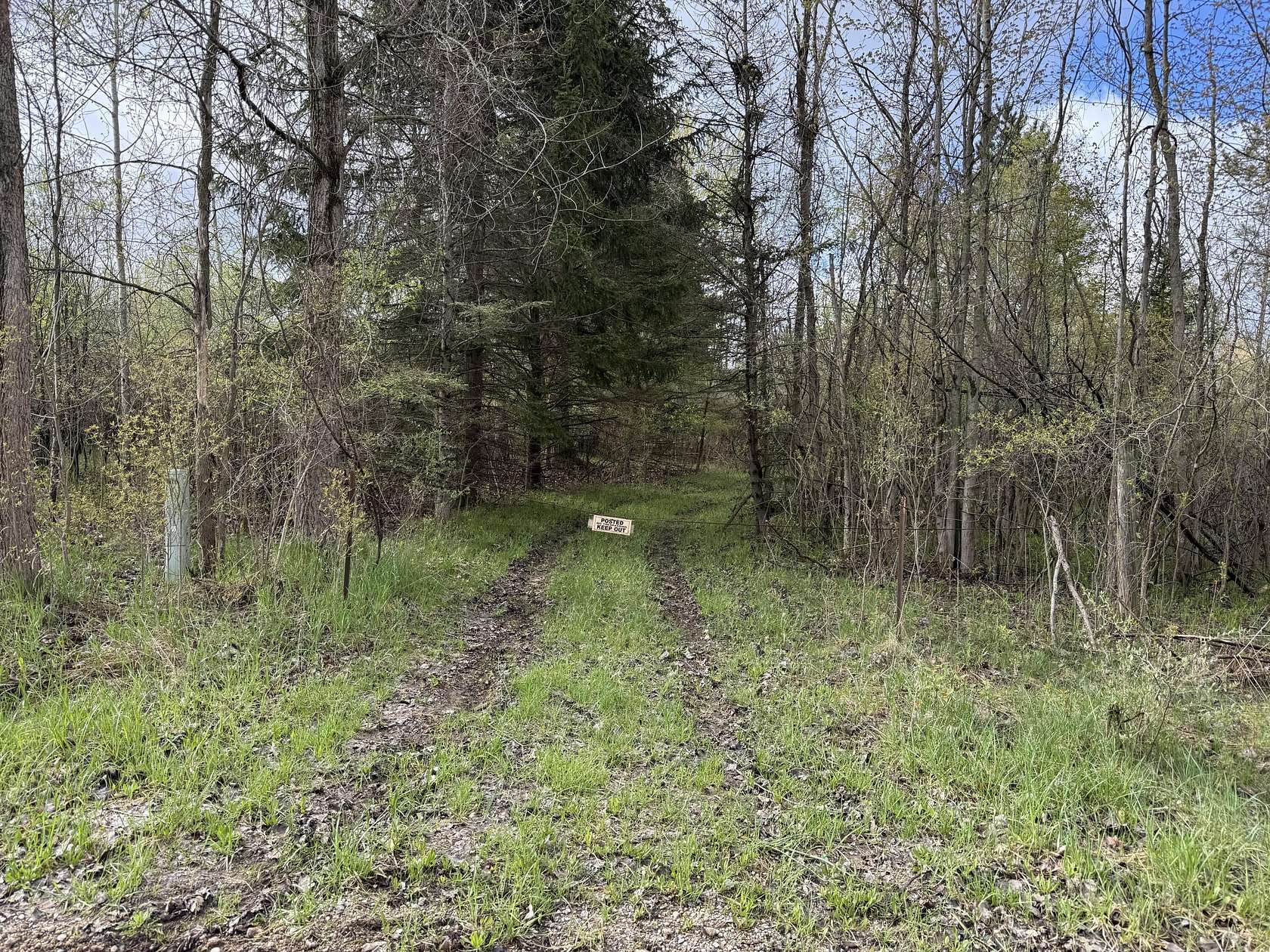 20 Acres of Recreational & Residential Land for Sale in Sand Lake, Michigan