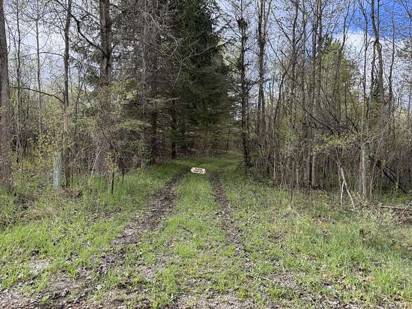 20 Acres of Recreational & Residential Land for Sale in Sand Lake, Michigan