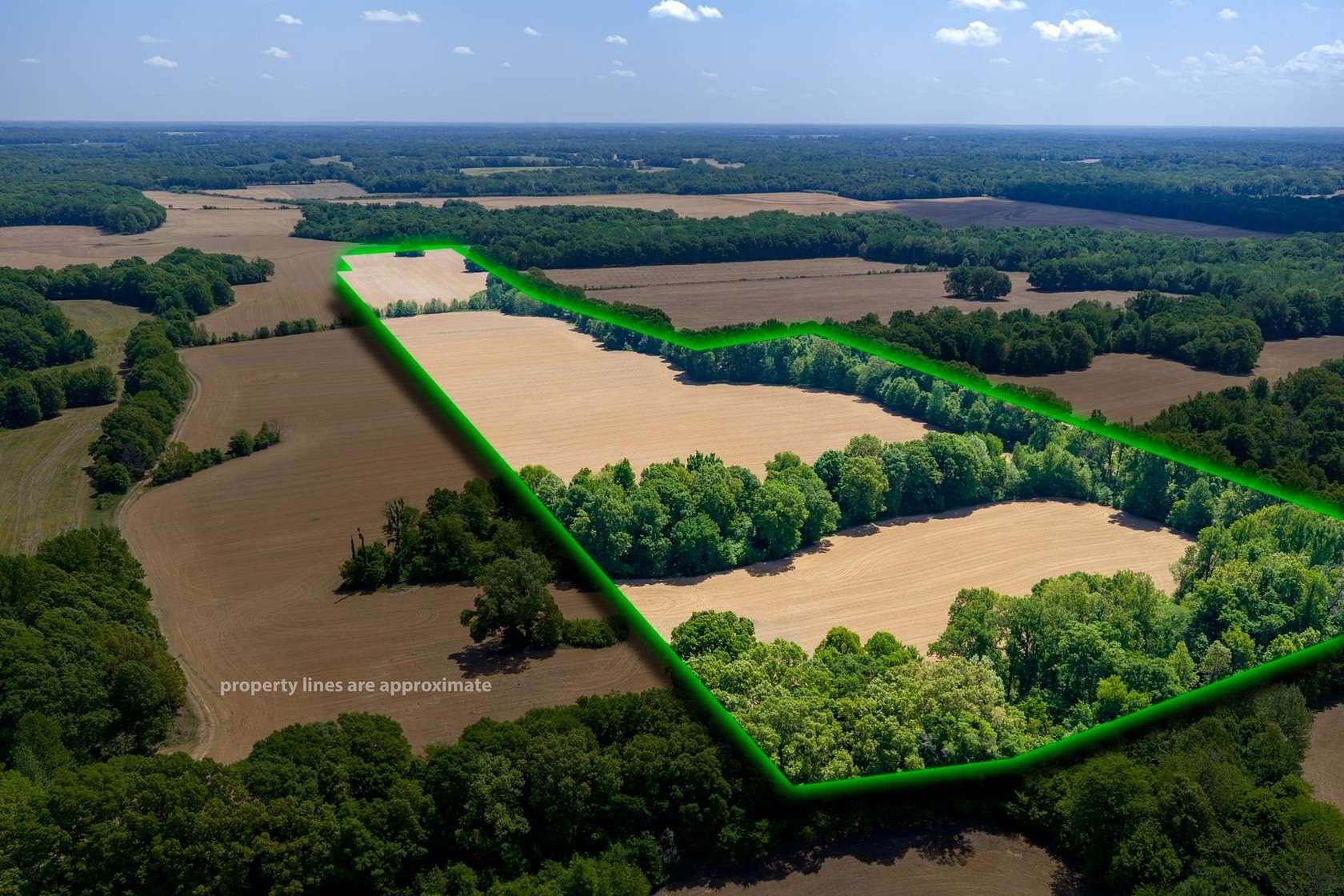 36.8 Acres of Land for Sale in Arlington, Tennessee
