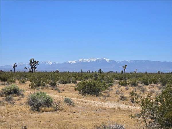 10 Acres of Land for Sale in Adelanto, California
