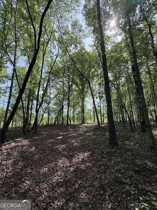 46 Acres of Recreational & Residential Land for Sale in Buchanan, Georgia
