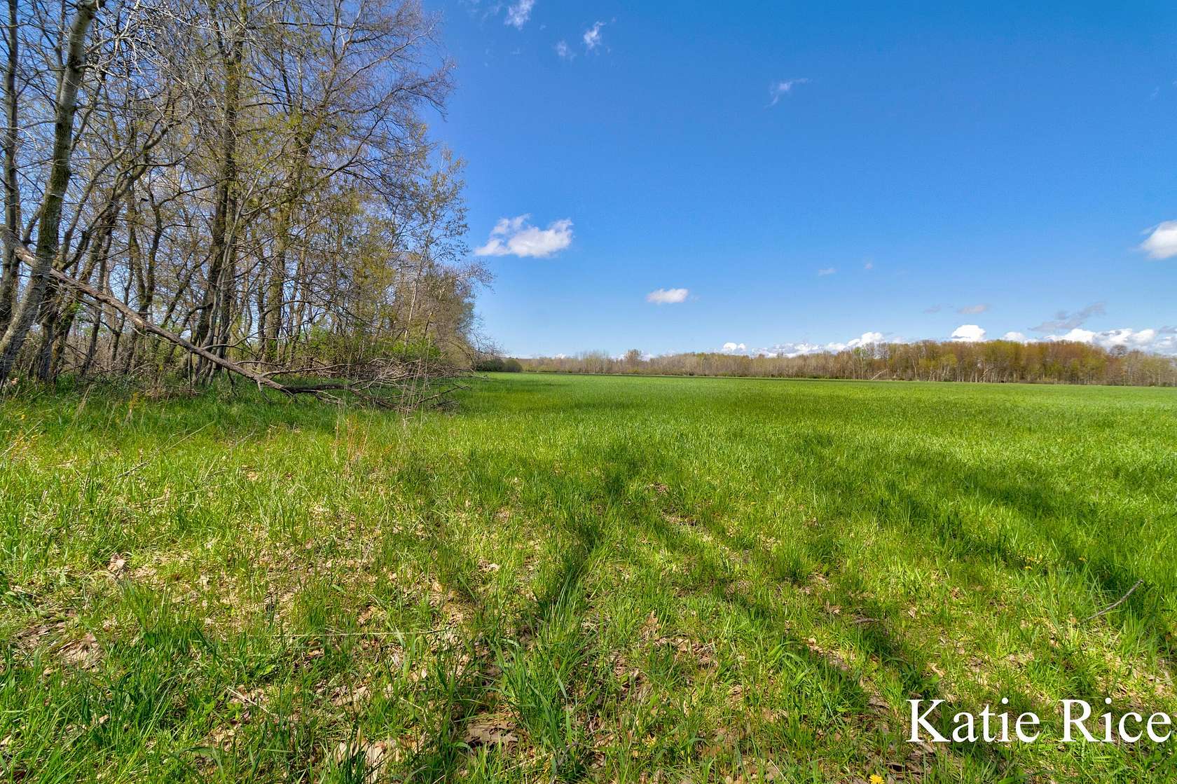 40 Acres of Land for Sale in Rothbury, Michigan