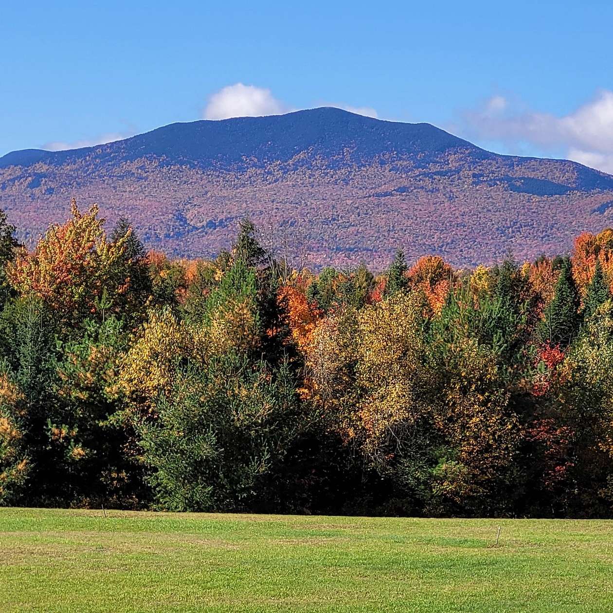 7.33 Acres of Residential Land for Sale in Hyde Park, Vermont