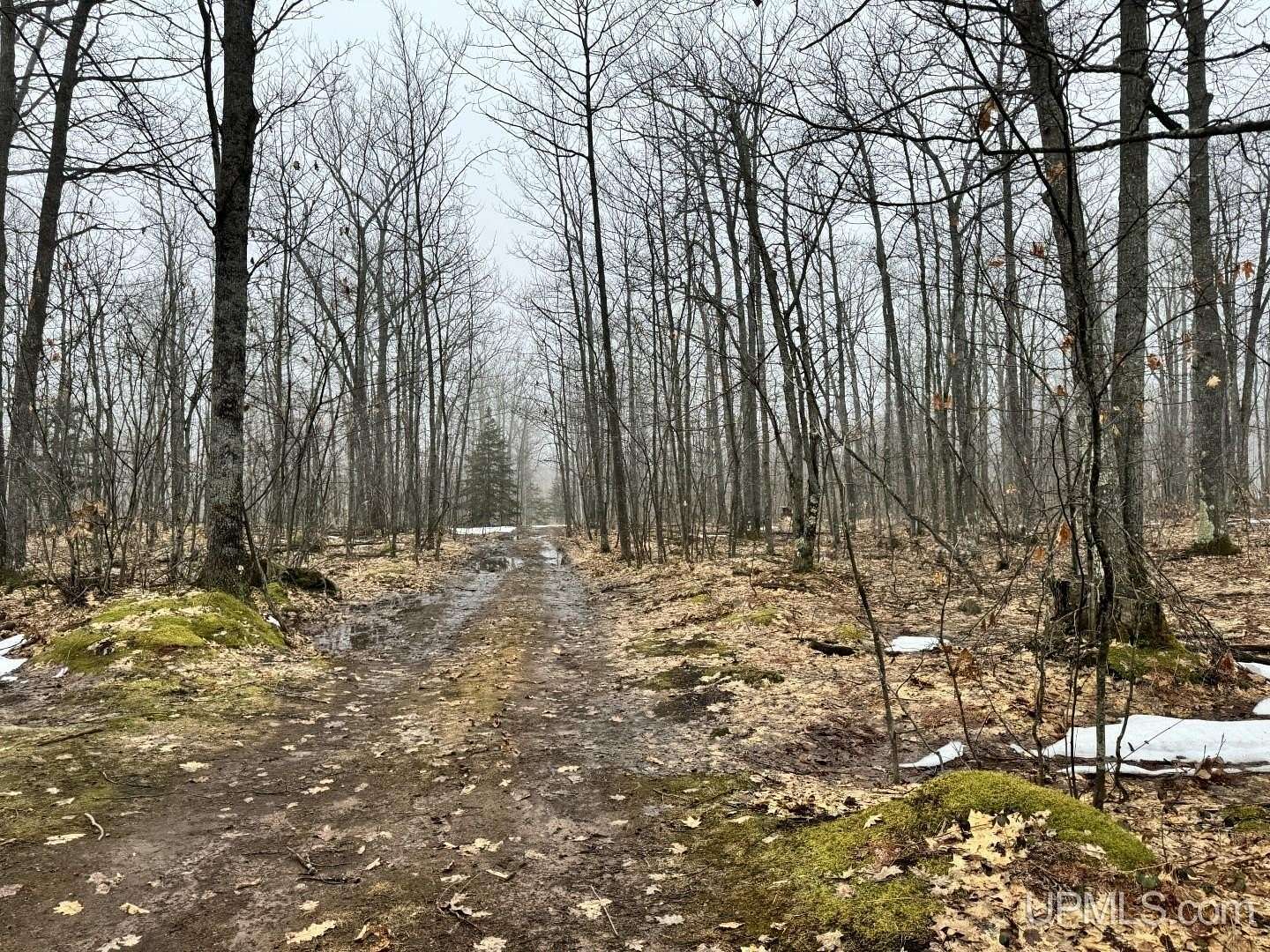280 Acres of Land for Sale in L'Anse, Michigan