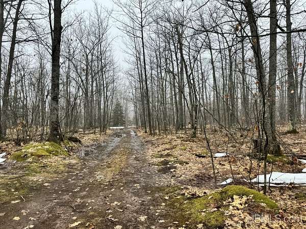 280 Acres of Land for Sale in L'Anse, Michigan