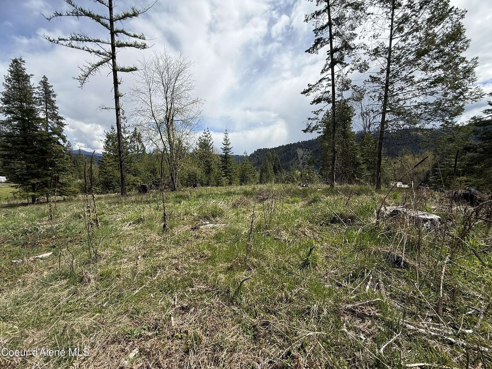 4.6 Acres of Residential Land for Sale in St. Maries, Idaho