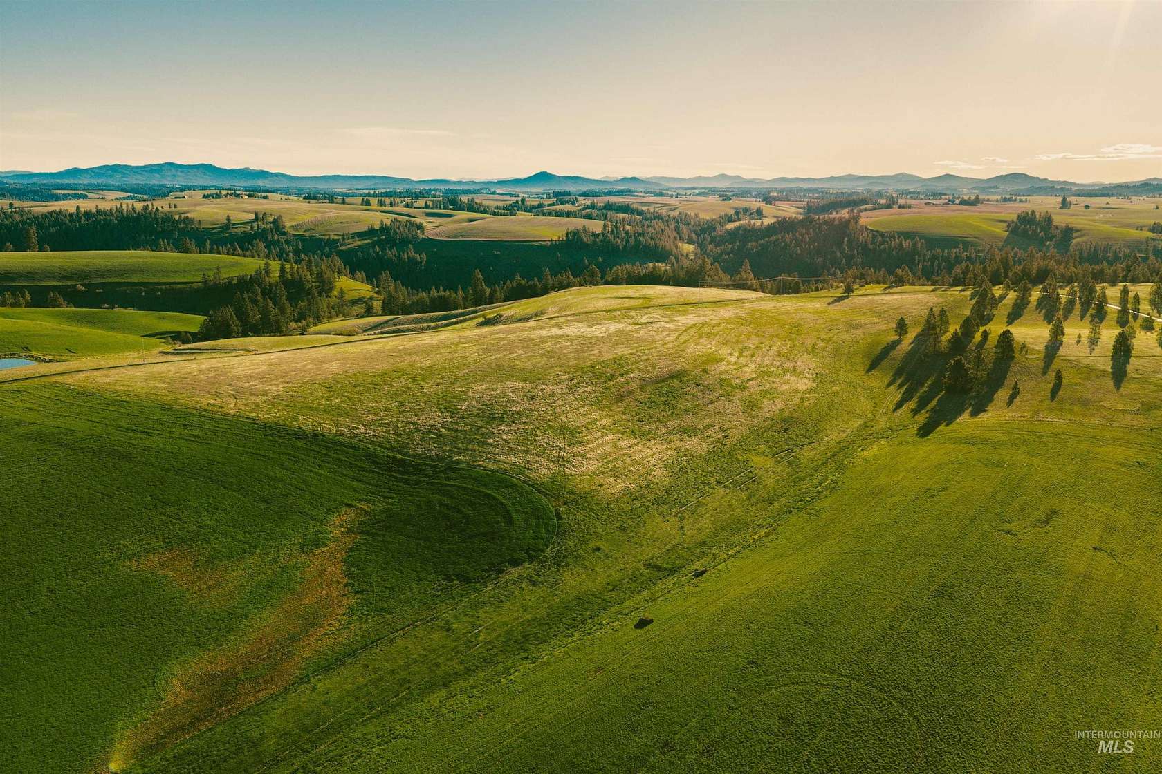 16 Acres of Land for Sale in Troy, Idaho