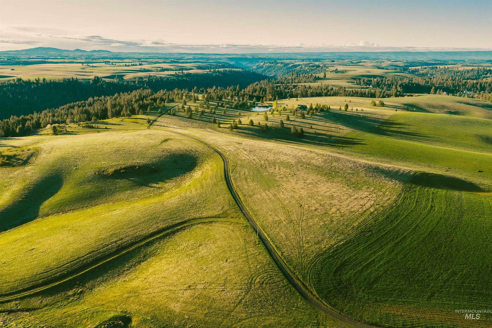 16 Acres of Land for Sale in Troy, Idaho