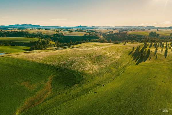 16 Acres of Land for Sale in Troy, Idaho