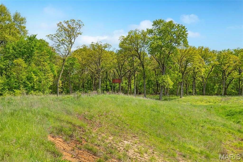 22 Acres of Recreational & Residential Land for Sale in Dorsey, Illinois