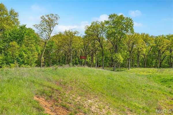 22 Acres of Recreational & Residential Land for Sale in Dorsey, Illinois