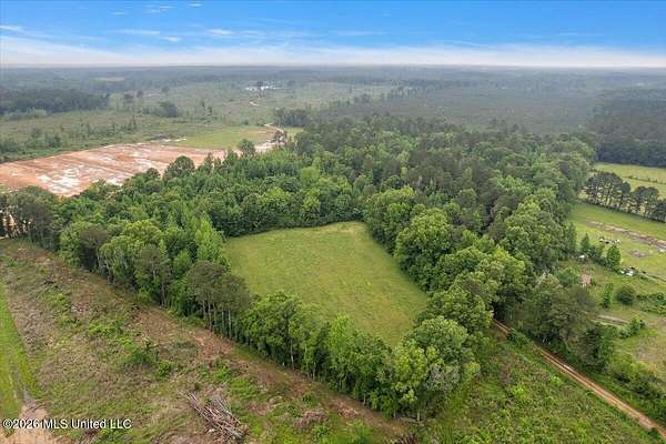 19 Acres of Land for Sale in Forest, Mississippi