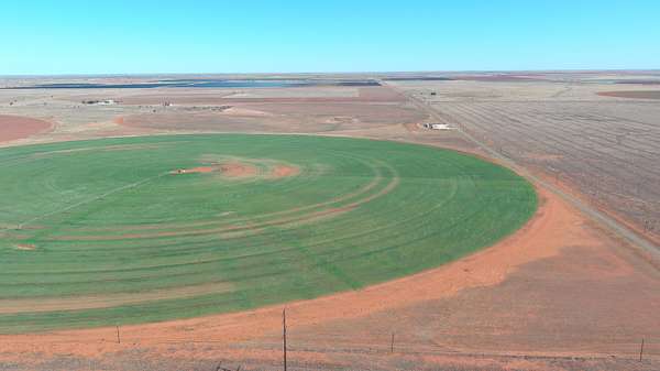 240 Acres of Land for Sale in Denver City, Texas