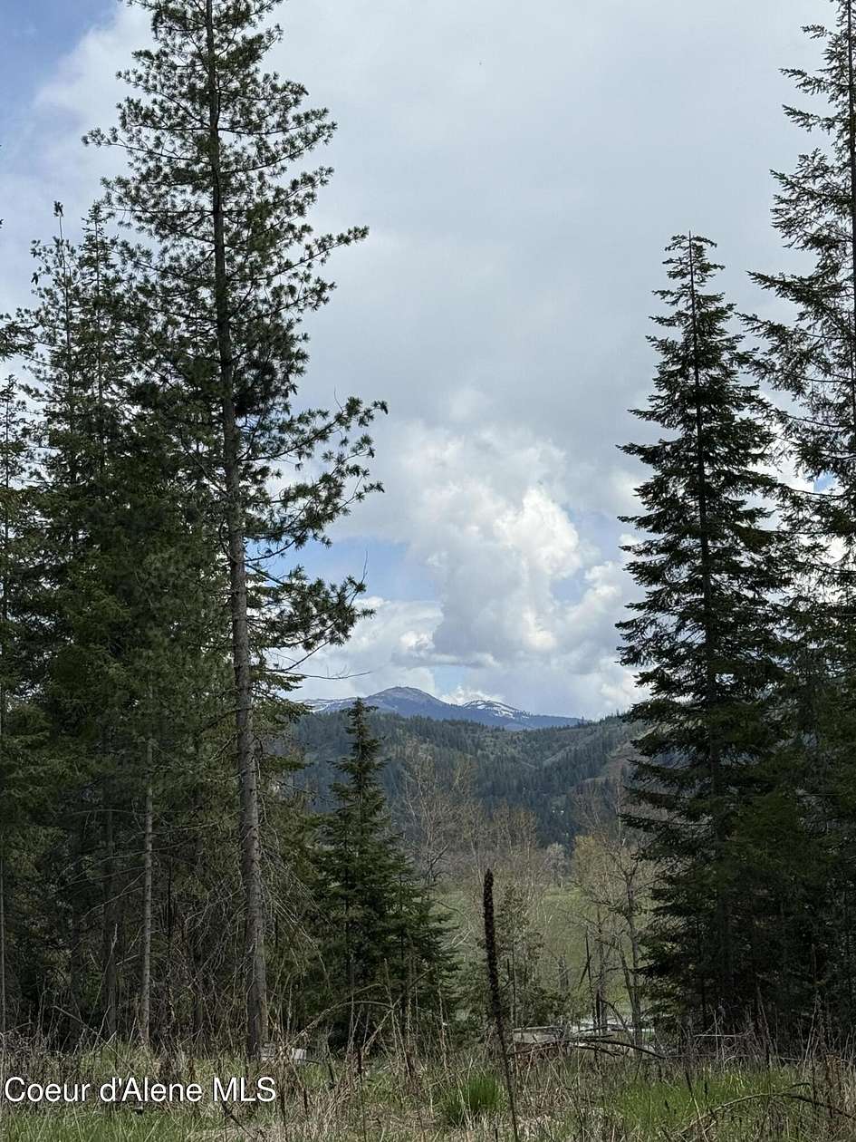 7.47 Acres of Residential Land for Sale in St. Maries, Idaho