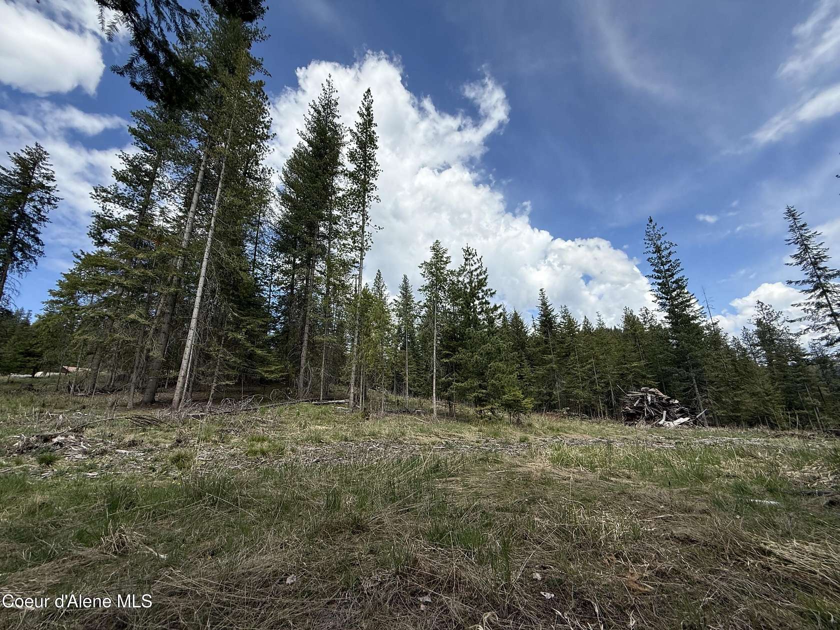 7.47 Acres of Residential Land for Sale in St. Maries, Idaho