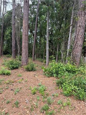 0.18 Acres of Residential Land for Sale in Brunswick, Georgia