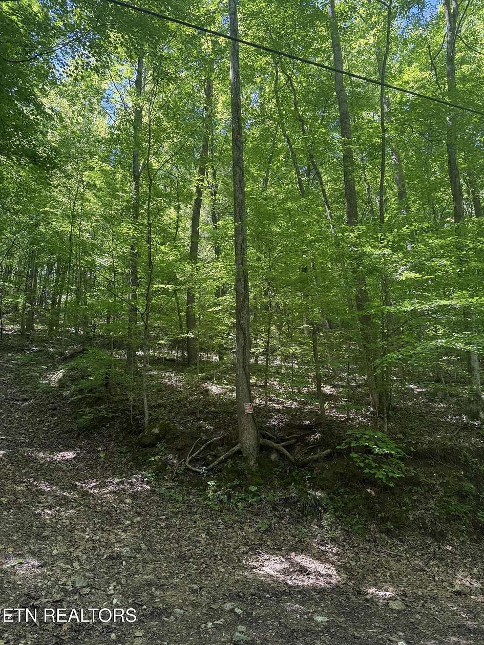 0.11 Acres of Residential Land for Sale in Caryville, Tennessee