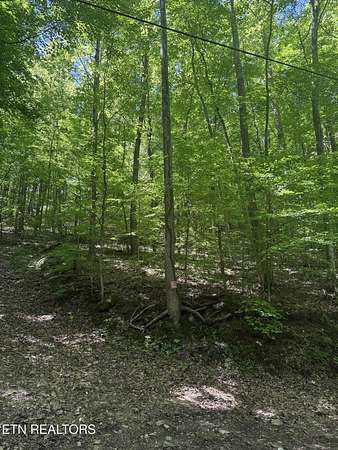 0.11 Acres of Residential Land for Sale in Caryville, Tennessee