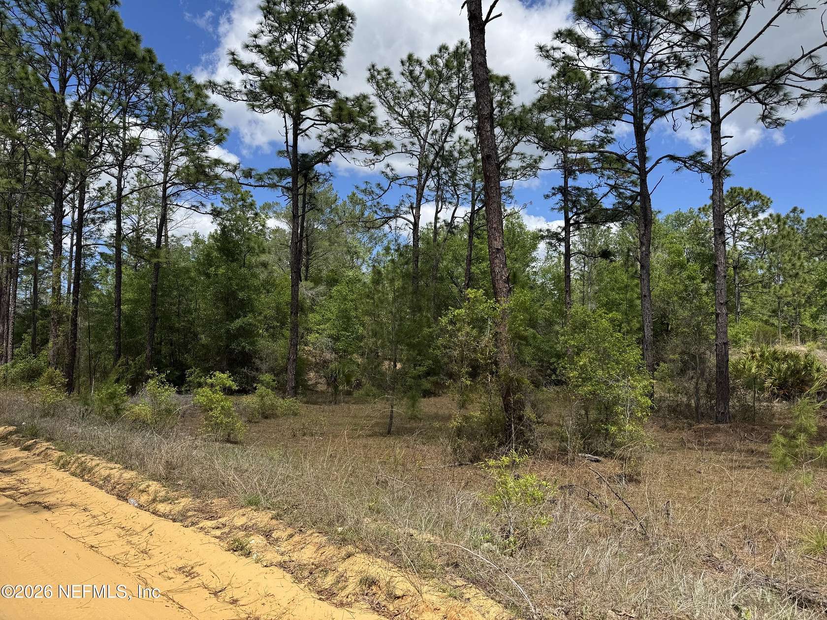 0.22 Acres of Residential Land for Sale in Interlachen, Florida
