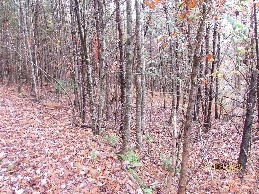 1.36 Acres of Land for Sale in Hayesville, North Carolina