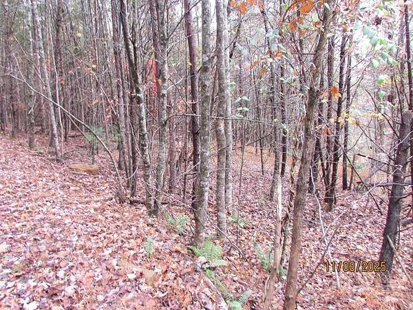 1.36 Acres of Land for Sale in Hayesville, North Carolina