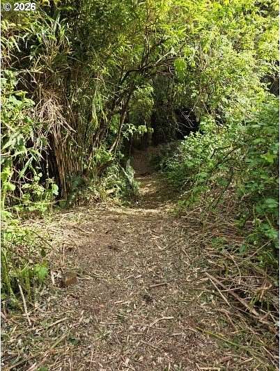 0.22 Acres of Residential Land for Sale in Cannon Beach, Oregon